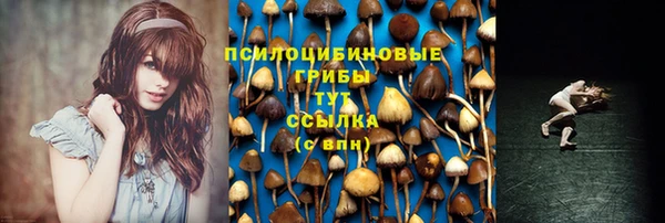 гидра Абдулино